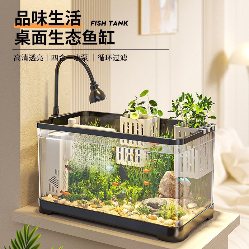 Fábrica de tanques de peces para suministrar un nuevo tipo de pequeño hogar de sala de estar paisajismo conjunto completo de cilindro de agua ecológico con cubierta de mesa transparente image 4