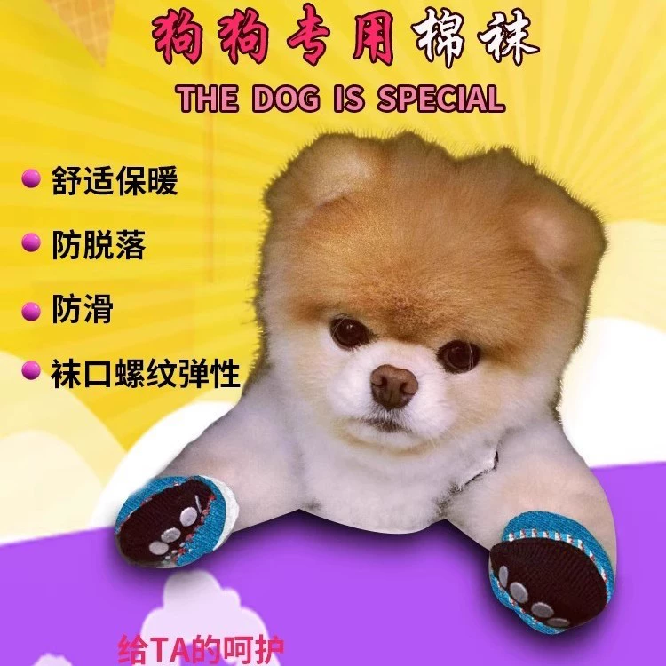 Носки для собак, защита от царапин и грязи, чехлы для лап, чашка для собаки, Тедди Бишон, обувь для кошек, носки для домашних собак