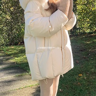 Ī˹�ƵĶ����ǿ���Դ���q����ë�I��q�������r�б�ů���L������