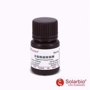 G8661 谷氨酰胺转氨酶（纯酶）共价交联 催化酰基转移反应 索莱宝
