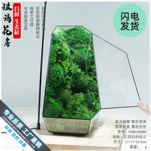 批发微景观苔藓生态瓶 高透明多肉玻璃花瓶花房 DIY花瓶创意礼品