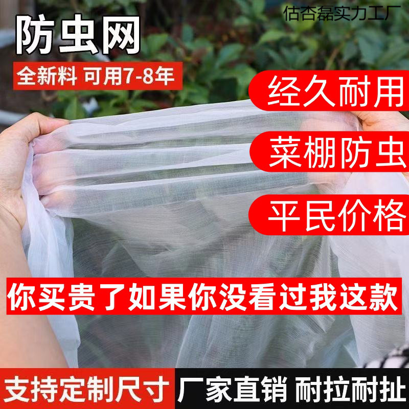 防虫网种菜专用网80目防虫罩加密纱网菜苗菜地果园网蔬菜防鸟罩