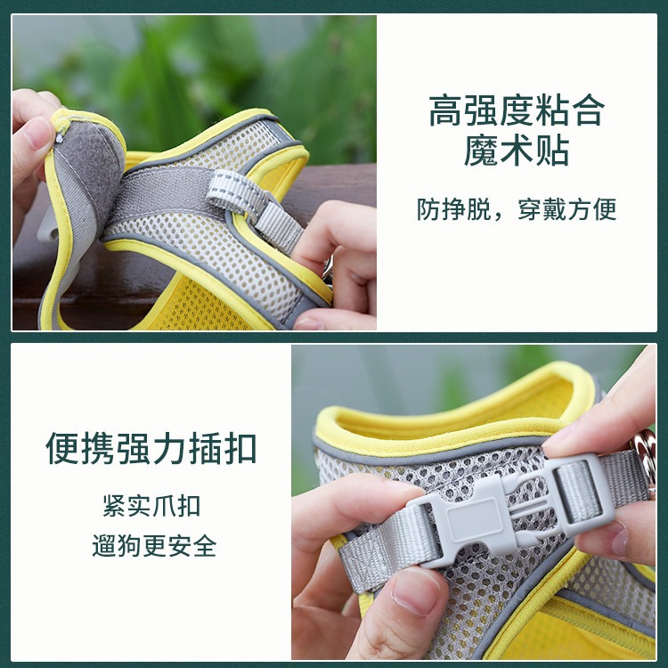 Correa de perro caminar cuerda perro pequeño Teddy Corgi oso cachorro gato mascota chaleco correa para el pecho