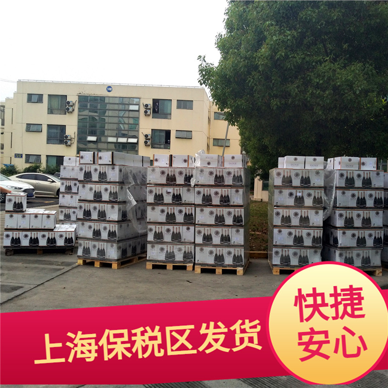 红酒实体进口商 3斤1.5L大瓶红酒智利原瓶进口干红批发代理团购