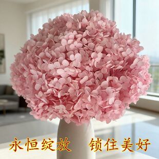 �W�t�����������S�����l��Ϧ��Y�Ҿӻ���diy�����������նY��
