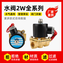 ȫͭյŷˮ220v 2W025-08/2W160-15/2W250-25