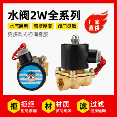 全銅常閉電弁水弁220vステンレスガス弁2w025818/ 2w160-15/2wbuf 25