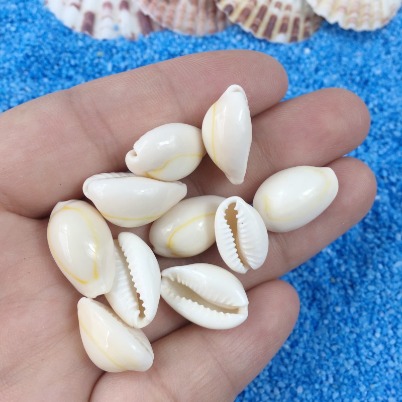 IMG_8713_iLRMFt_副本