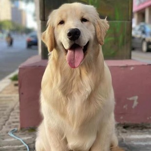 �������ۼ��N��ë��Ȯ��ë���wِ���pѪ�y��ëȮ�����ë���l�r��