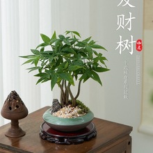 �帣�lؔ��С�����k���ҾGֲ�ļ����B�҃������[�����w�ͶY����