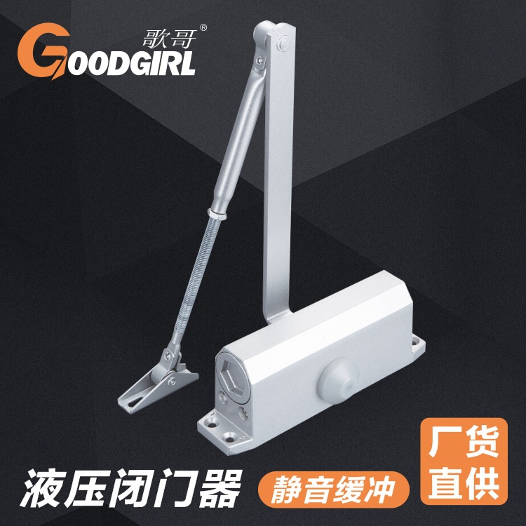 Home invisible automatic door closer Hydraulic buffer fire-rated door closer Adjustable round door closer