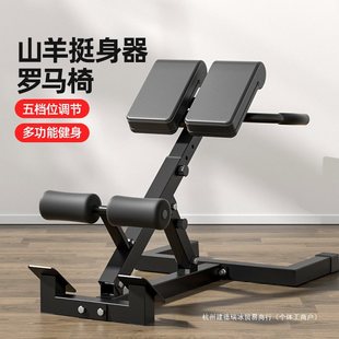 Roman Chair Household Goat Body-up Adjustable Lumbar Back Abdominal Muscle Multifunctional Training Device Professional Fitness Equipment