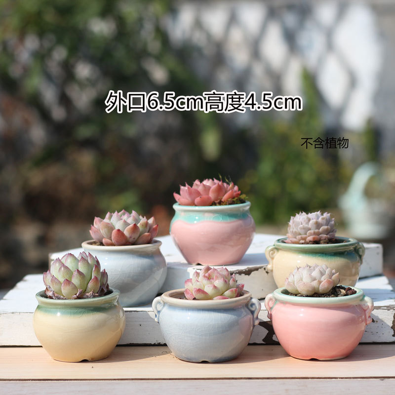Free Shipping on Succulent Flower Pots, Clearance Sale, Coarse Pottery Breathable Water-Absorbing Pots, Old Stump Pots, Large Diameter Cluster Pots, Creative Plain Rainbow