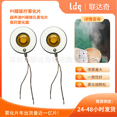 16mmPI 膜アトマイザーシート医療アトマイザー超音波アトマイザーシート 3μm 微多孔吸入人工呼吸器アトマイザーシート