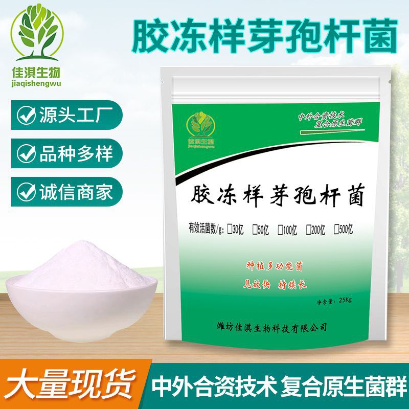 胶冻样芽孢杆菌 50亿解磷解钾生物肥料 硅酸盐细菌活孢子原菌粉