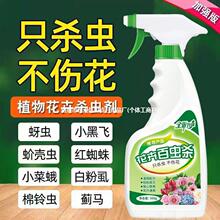 花卉杀虫水乳剂花绿植营养液多肉月季花蚜虫蚧壳虫红蜘蛛杀虫药