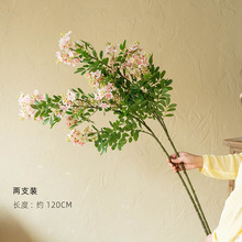 ���滱����߶˻�Y�����̘I�쾰�ٻ��Ϸ۱��W�ҾӠ���ܛ�bc��
