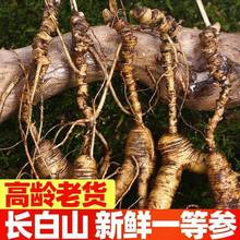 |؛rLɽ˅ɽݾҜșİ]