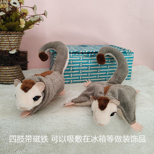 �W�t�ɐ۷�������ܴ�����ë�q����ǹ��w����С�w����ż�����N