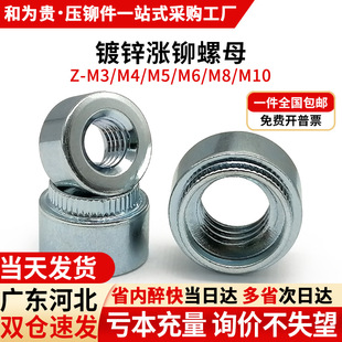 �F��\�q�T��ĸ Z-M3M4M5M6M8 �Q�y�L��������ĸ���X̨�A�A��ñ