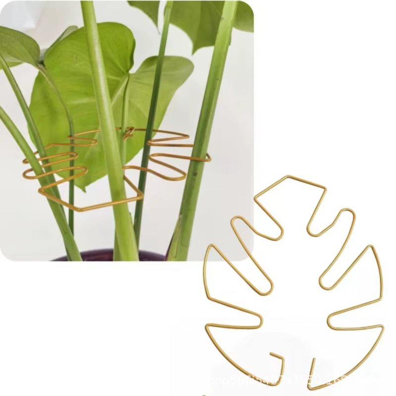 Растительный кронштейн черепахи