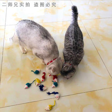 猫玩具小老鼠兔皮毛猫咪毛绒自嗨猫解闷兔毛遥控逗猫电动老富