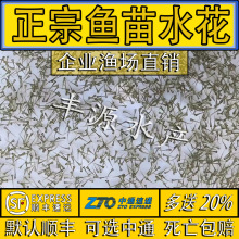 水花鱼苗鲫鱼草鱼鳜鱼白鲢青鱼鲤鱼翘嘴黄骨鱼花鲢武昌鱼鲈鱼活体