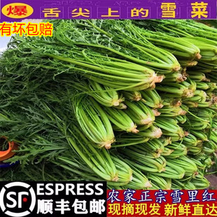 ����S������ѩ��tѩ�����r�⼚�~��ѩ��ޮ�߲������̲����