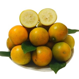 �V����Ƥ��ۮ������r�Fժ�ڰ���۰��]������ƤС���һ�����l