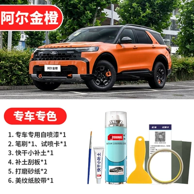 repair, Bering Sea Gray spray — Avtomobil boya qələmləri - alking-orange-emergency-repair