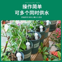 ?�Ԅӝ�ˮ���������ڳ�����õι���������ˮ��������ֲ��