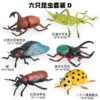 [New Style] HFM Hollow Insect 6 Style Set D (Including Ladybug)