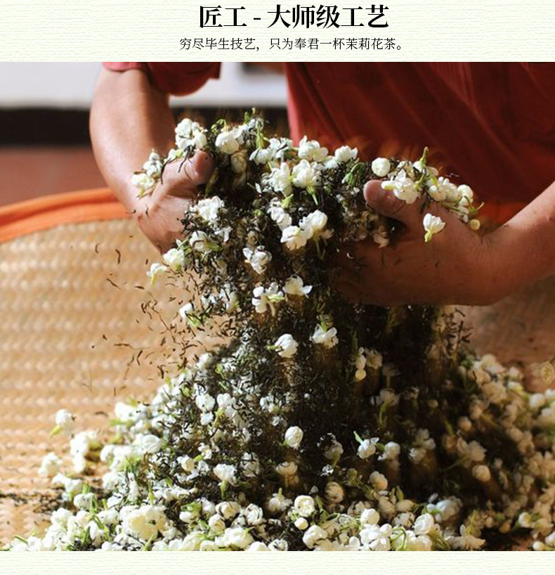 2025新茶蜀茗润飘雪四川雅安茉莉花茶散装茶叶花毛峰浓香一件代发