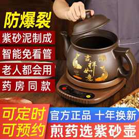全自动多功能电炖紫砂煎药壶熬药紫砂壶壶养生壶电砂锅锅
