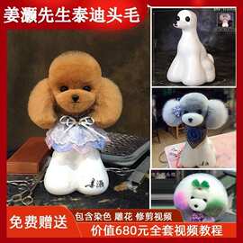 姜灏先生teacher jiang宠物美容练习假毛全身毛泰迪头模特狗修剪