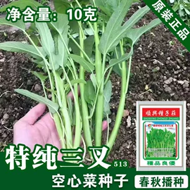 蔬菜种子;其他农业