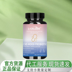 サフランプロバイオティクス CNS-MOOD-PROBIOTIC 42g 工場直販で卸売も可能