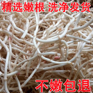 �~�Ȳ� �F�����r�߲��۶��� �ȶ��� ���蹝���� �~�Ȳݸ����]