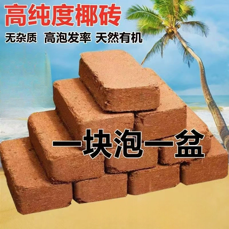 Кокосовый кирпич питательной почвы оптом для выращивания цветов, специальная почва для суккулентных зеленых растений, овощная почва, прямые продажи с фабрики, универсальная кокосовая койка, кокосовая почва