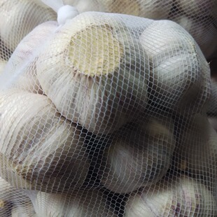 �����ṩ����  �S��ֱ�N  �gӭǰ��ԃ�r �r�񃞻�