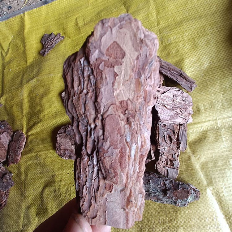 1c65f8ba3468266536e406317a2e1e