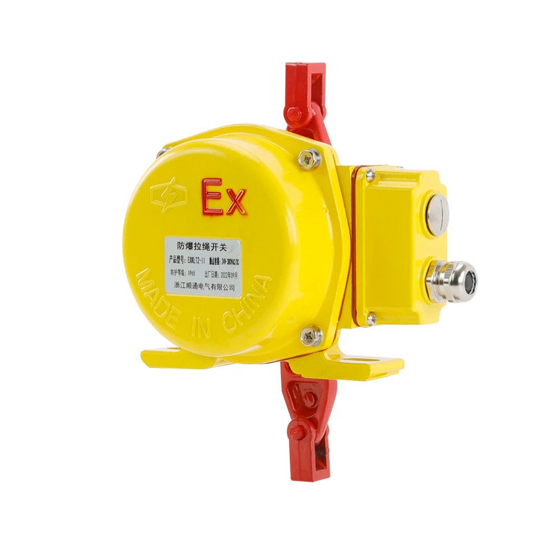 Explosion-proof waterproof switch key on lanyard, belt with cord