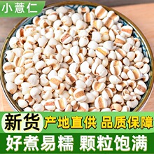 С޲����؛5���r���F�����r���������С����ˮ�������s�Z�����