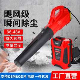 锂电吹机背负式充电鼓风机工地除尘环卫清扫落叶大棚吹雪机大风量
