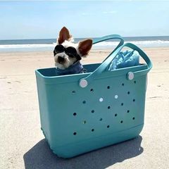 Chuangyuan EVA Beach Bag, Stylish Hole-Punched Bag, Pet Carrier, Simple & Trendy Tote, Bog Bag