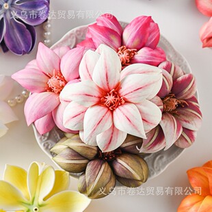 ������z��ľ�m���^ diy�l�A�����^��h�����Y�û����廨�[��