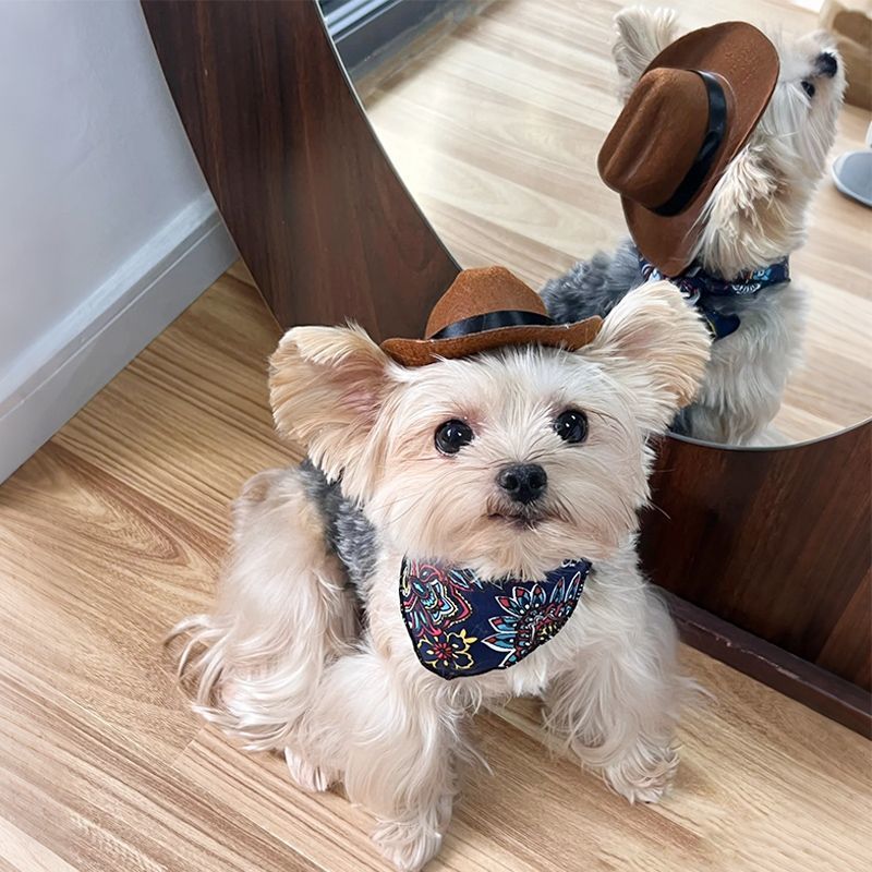 Pet Western Cowboy sombrero cool cool pet gato perro tocado vaquero muy ocupado tomando fotos lindos sombreros de vaquero