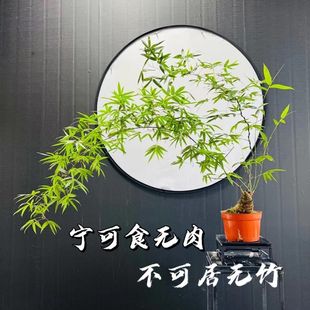 С�~�{�������ؔ���F������Ϙ��Gֲ���������҃ȳ�Ʒ�������F��