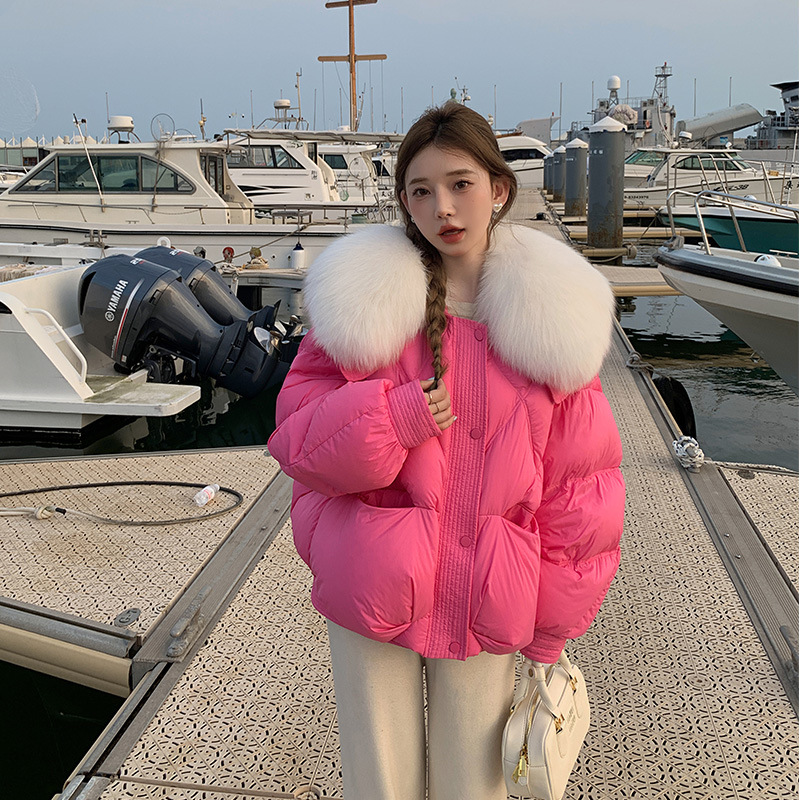 드래곤 과일 패션