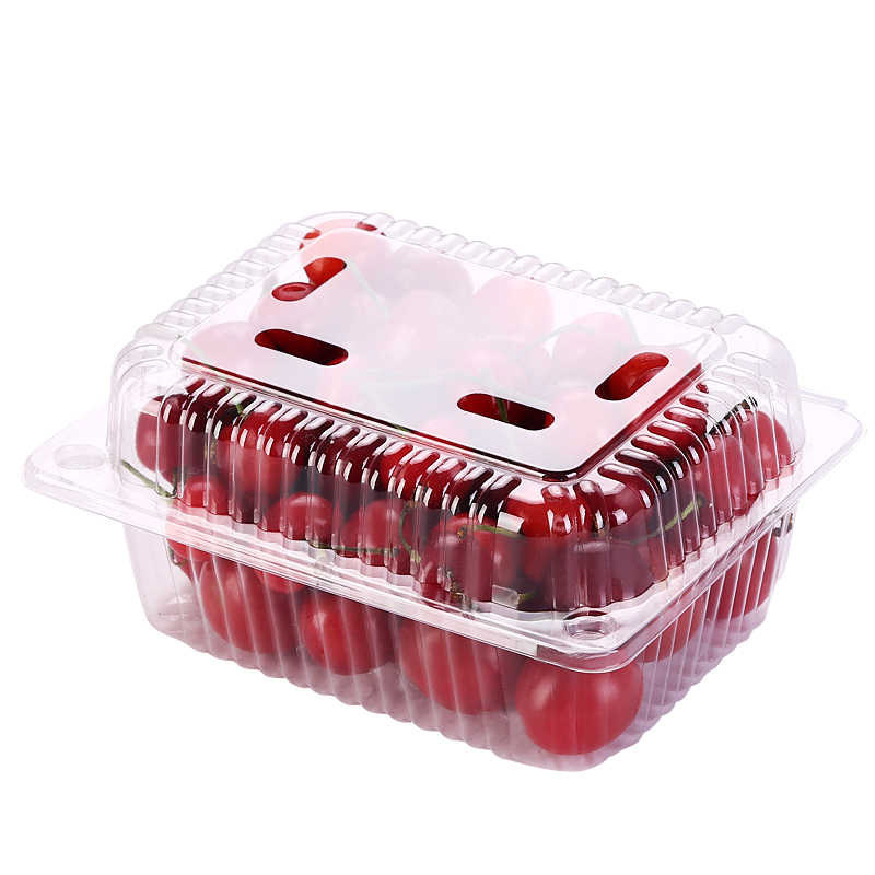 使い捨てフルーツボックス、スイカ、イチゴ、食品グレードプラスチックボックス、弁当フルーツカットボックス、使い捨て透明果物・野菜ボックス|undefined